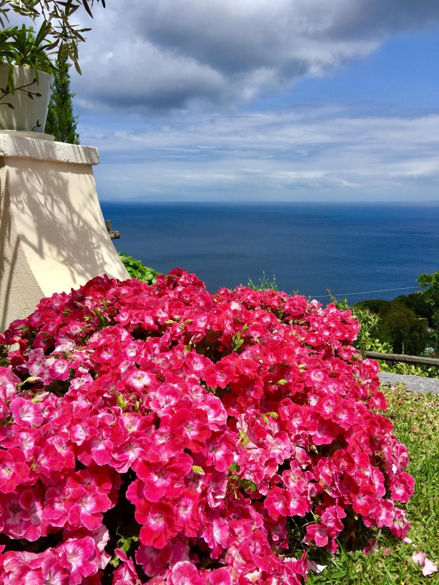 Casamicciola Terme Agapanto Luxury Accommodation מראה חיצוני תמונה