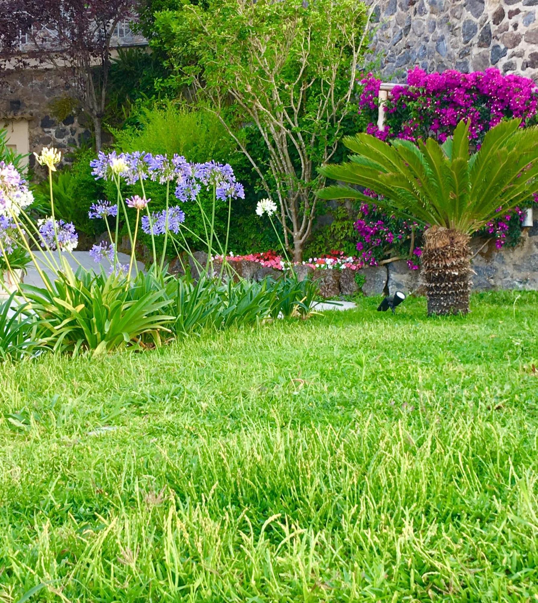 Casamicciola Terme Agapanto Luxury Accommodation מראה חיצוני תמונה