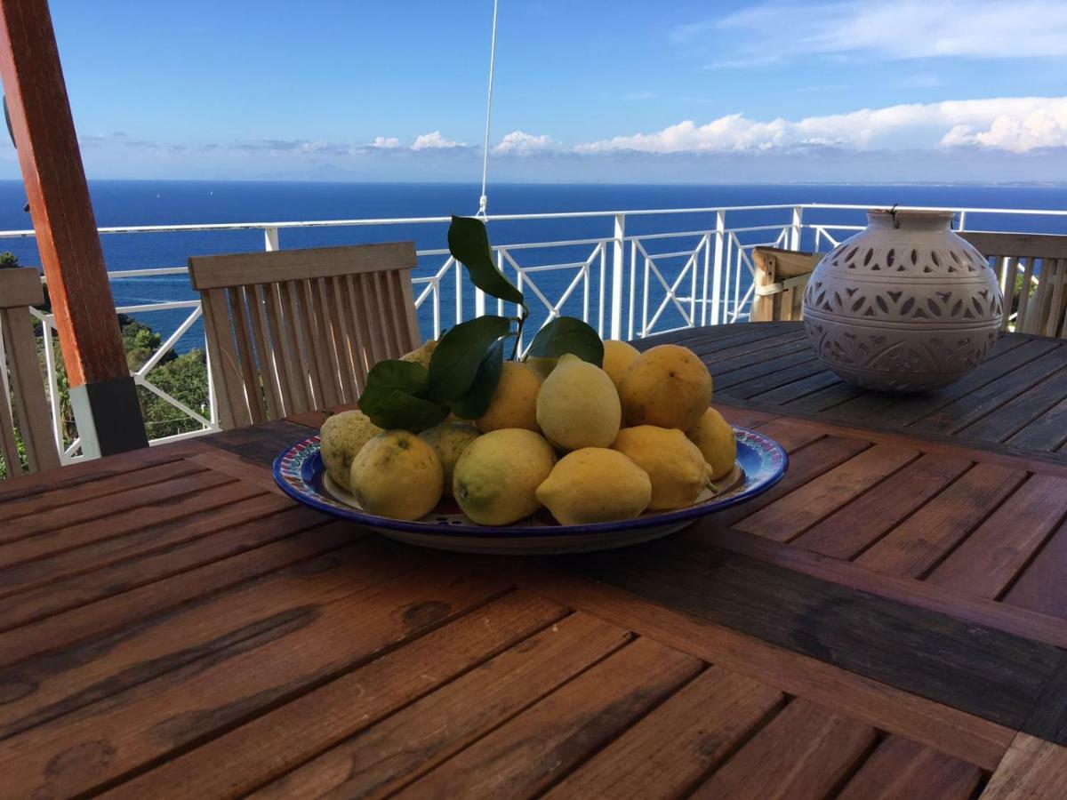 Casamicciola Terme Agapanto Luxury Accommodation מראה חיצוני תמונה
