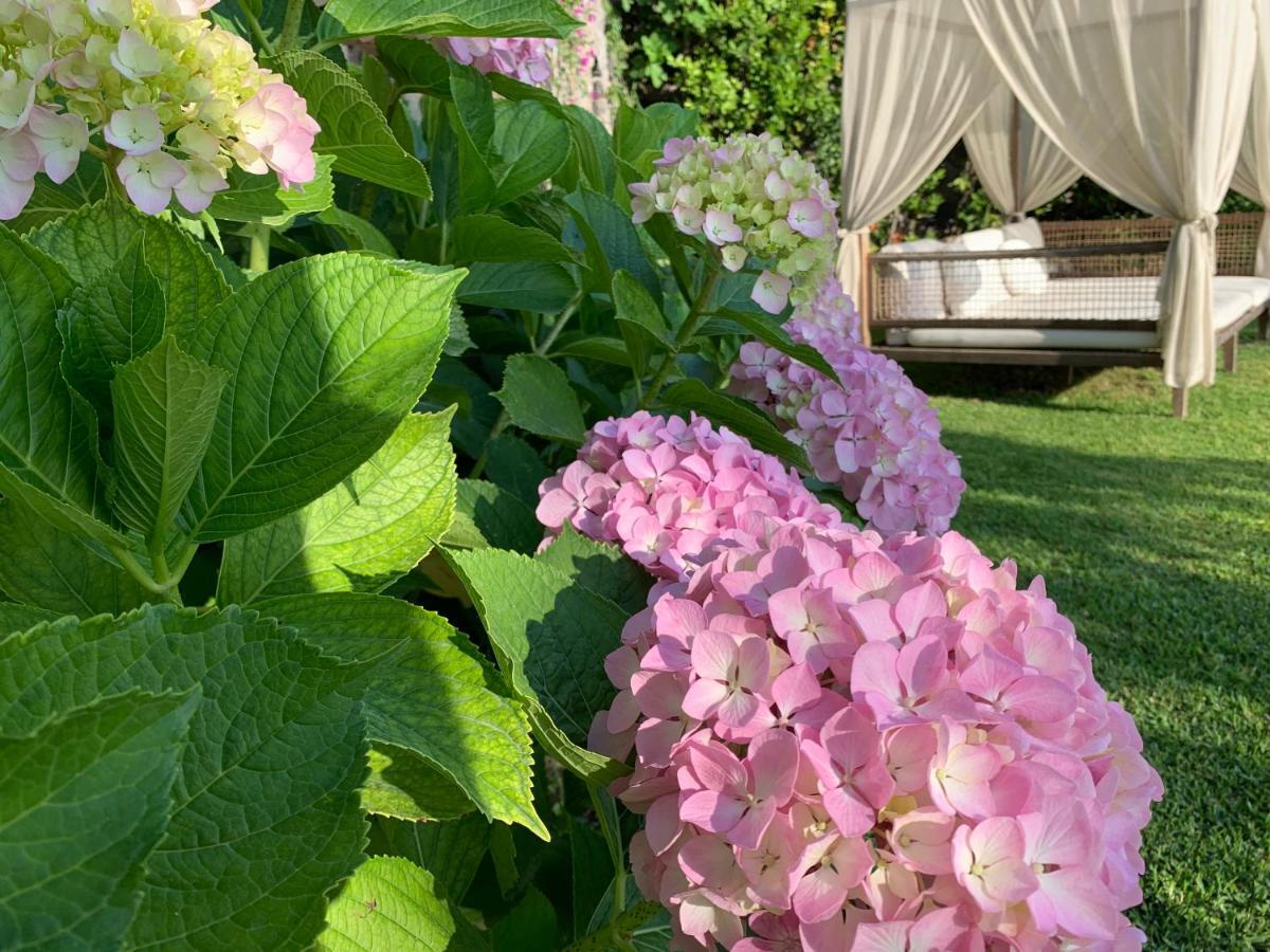 Casamicciola Terme Agapanto Luxury Accommodation מראה חיצוני תמונה